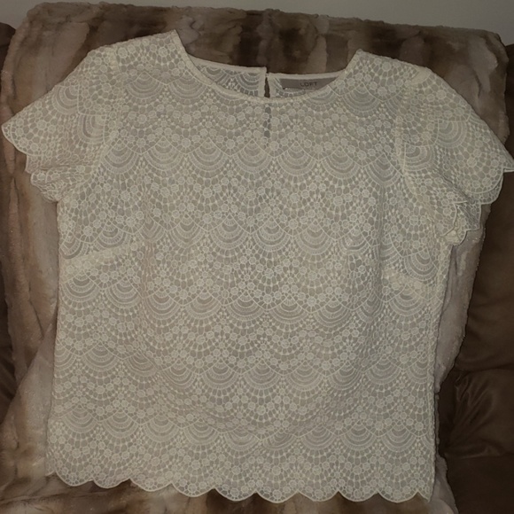 ANN TAYLOR-LOFT cream lace top - Picture 1 of 4